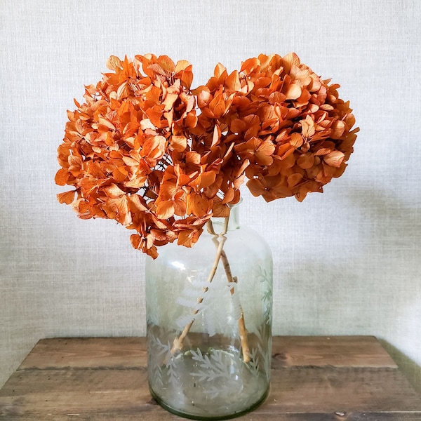 Preserved Hydrangeas Autumn Fall Colors | Dried Hydrangea | Orange Flower | Dried Flowers | Preserved Flowers | Jumbo Hydrangea | Home Decor