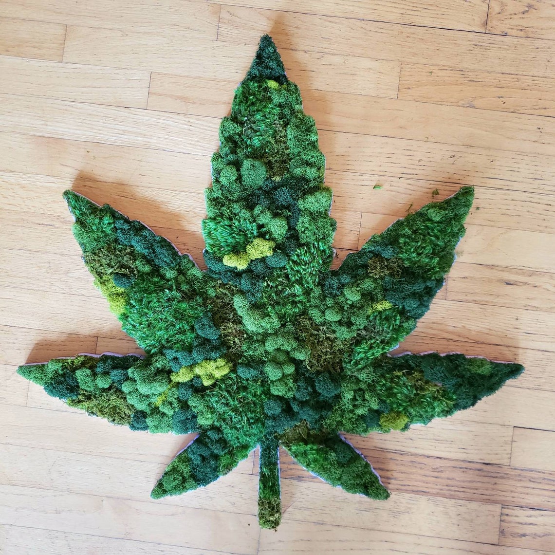 Moss Weed Leaf Dispensary Decor Marijuana dispensary Etsy