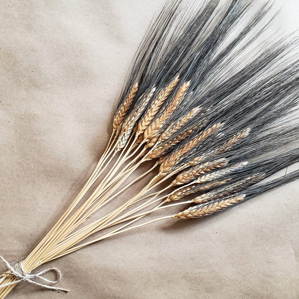 Dried Black Bearded Wheat | Bundle of 25 | Cereal Grains | Fall Decoration | Country Wedding | Dried Flowers | Ornamental Grass | Autumn