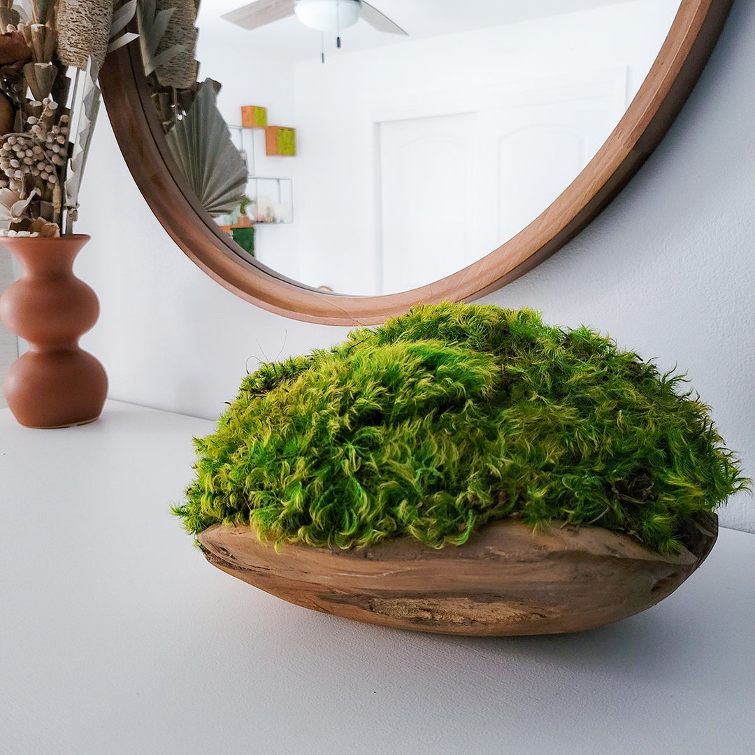 Moss Bowl Centerpiece Wooden Bowl W Preserved Mood Moss Natural Decor