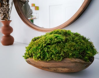 Preserved Moss Bowl Centerpiece – Natural Wood, Modern Home Decor
