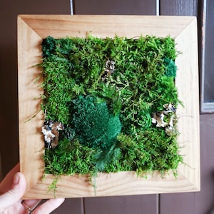 May include: Square wooden framed wall art featuring a vibrant arrangement of green moss and various plant life. The moss is a mix of textures and shades, with accents of silver and dark green. The frame is made of light-colored wood.
