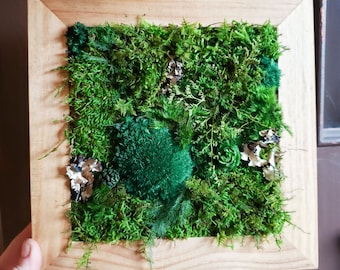 DIY Kit | Wood Moss Wall Art & Decor | Adult Craft Kit | Moss Decor | Birthday Day Gift | Bring Outdoors Inside | Craft Box | Moss Frame DIY