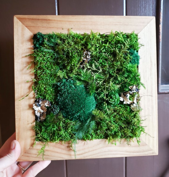 DIY Kit Wood Moss Wall Art & Decor Adult Craft Kit Moss Decor Birthday Day  Gift Bring Outdoors Inside Craft Box Moss Frame DIY 