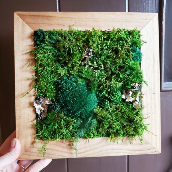 DIY Kit | Wood Moss Wall Art & Decor | Adult Craft Kit | Moss Decor | Birthday Day Gift | Bring Outdoors Inside | Craft Box | Moss Frame DIY