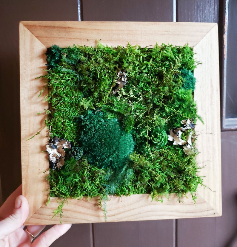 DIY Kit Wood Moss Wall Art & Decor Adult Craft Kit Moss Decor Birthday Day Gift Bring Outdoors Inside Craft Box Moss Frame DIY image 1