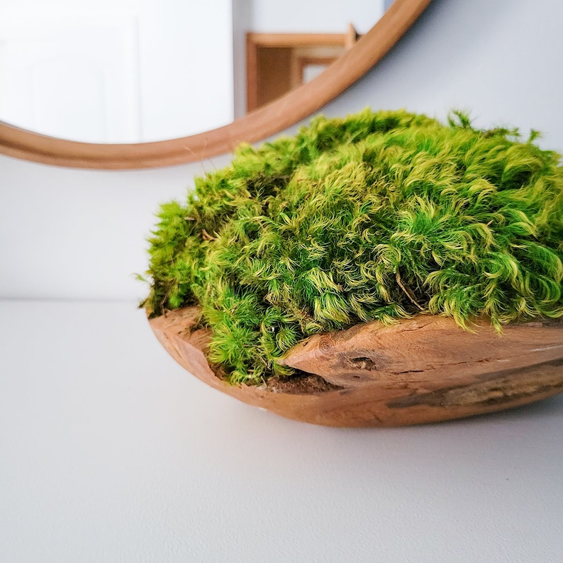Moss Bowl Centerpiece Wooden Bowl W Preserved Mood Moss Etsy