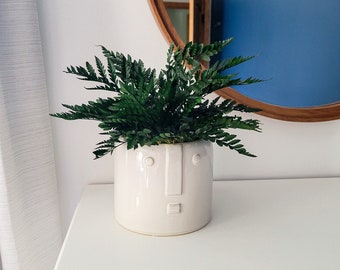 Preserved Potted Plant | Easy Houseplant | No Water | Preserved Leatherleaf Fern | Preserved Moss | Office Desk Decor | Lobby Greenery