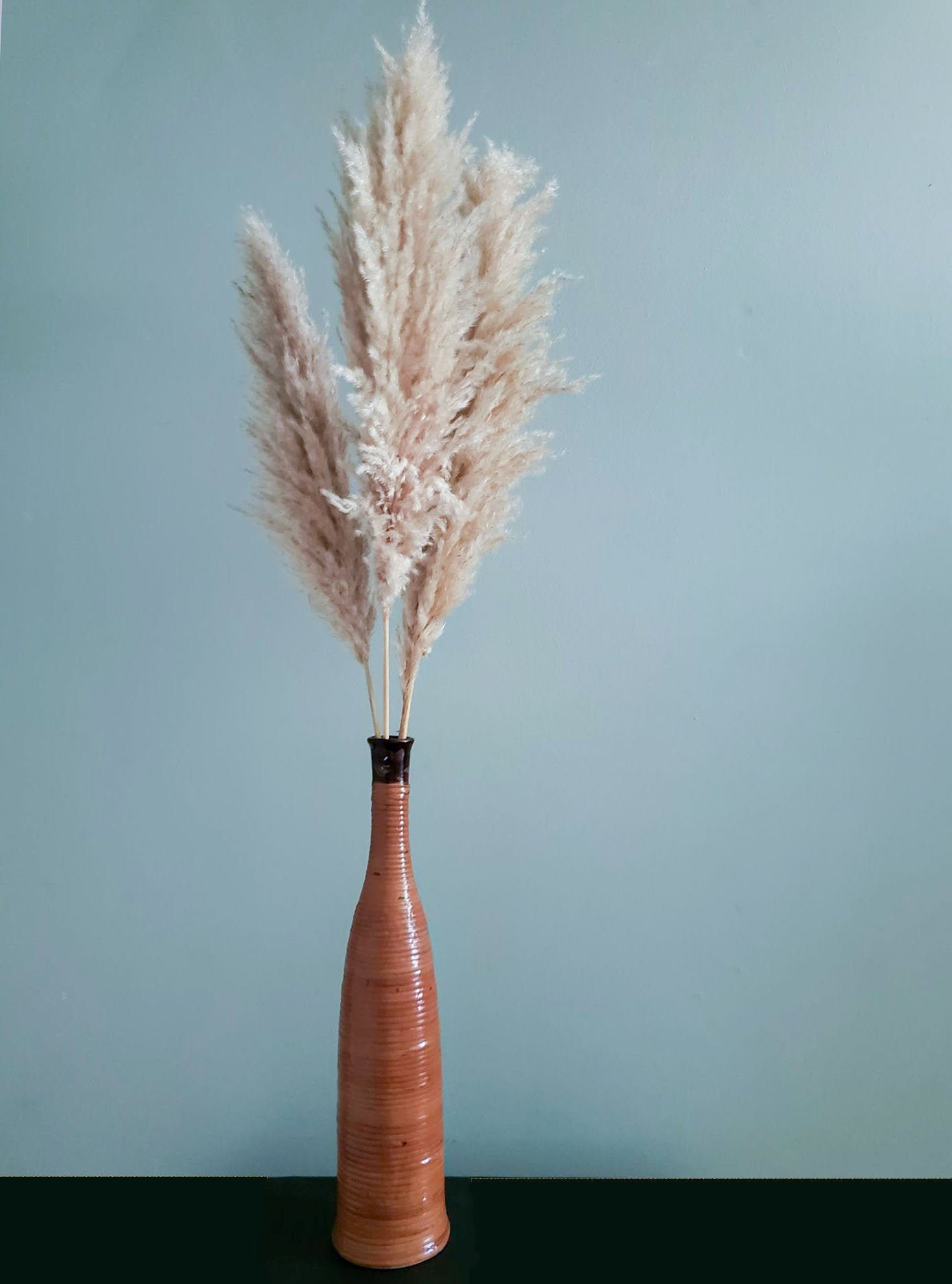 Large Pampas Grass 46 Vase Filler Natural Decor Etsy