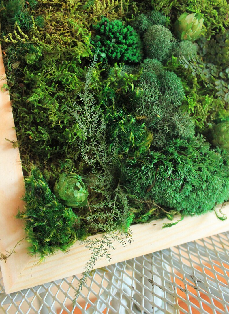 DIY Kit Wood Moss Wall Art & Decor Adult Craft Kit Moss Etsy
