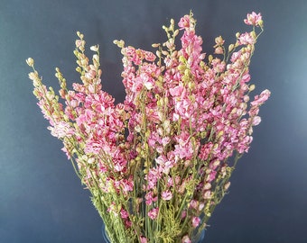 Dried Pink Larkspur | Bundle of Larkspur | Pink Dried Flowers | Dried Florals | Wildflowers | Dry Florals | Wedding Flowers | Baby Shower