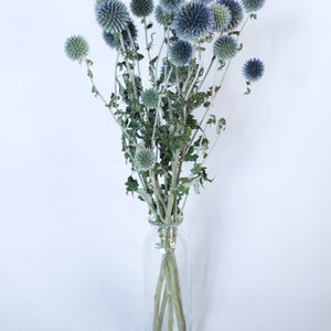 May include: A clear glass vase holding a bouquet of dried globe thistle flowers. The flowers are a mix of blue and green, with spiky, spherical blooms. The stems are thin and brown, and the vase is simple and cylindrical.