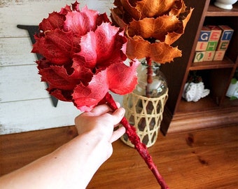 Dried KING Flower | Red Orange Oversized Dry Flower | Accent Decor | Tropical Flower | Dry florals | Boho Decor | Wedding | Banksia | Protea