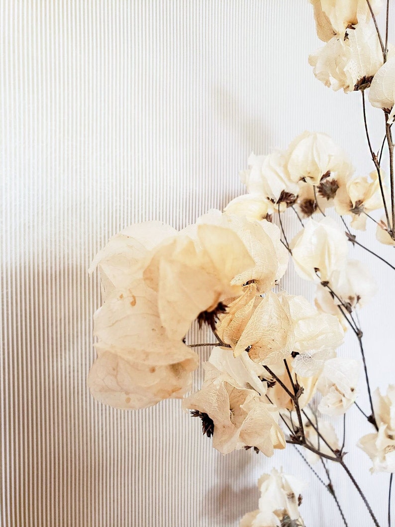 Dried Flower Arrangement Bleached Cara Blossom Flower Stem Branch with Flowers Vase Filler Cream beige dried Flowers Boho Decor image 3