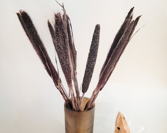 Dried Purple Majesty Millet | Dry Black Grasses | Ornamental Grass | Preserved Wheat | Rustic Flower Decor | Decoration | Wild Flower Grains