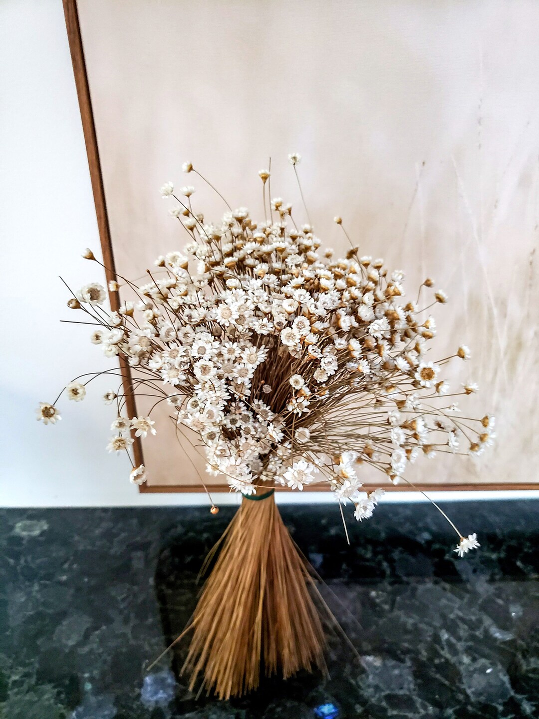 Star Flowers Dried Dry Natural Star Flower Tiny Mini White Daisy Vase