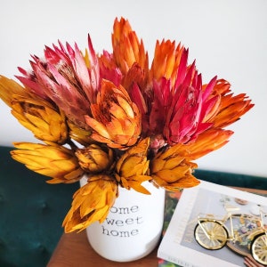 Preserved Protea Repens | Dried Flower Arrangement | Vase Filling | Floral decor | Wedding Decor | Dried Protea | Boho Pink Yellow & Orange