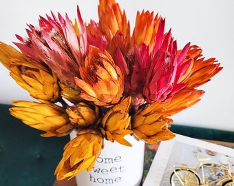 Preserved Protea Repens | Dried Flower Arrangement | Vase Filling | Floral decor | Wedding Decor | Dried Protea | Boho Pink Yellow & Orange