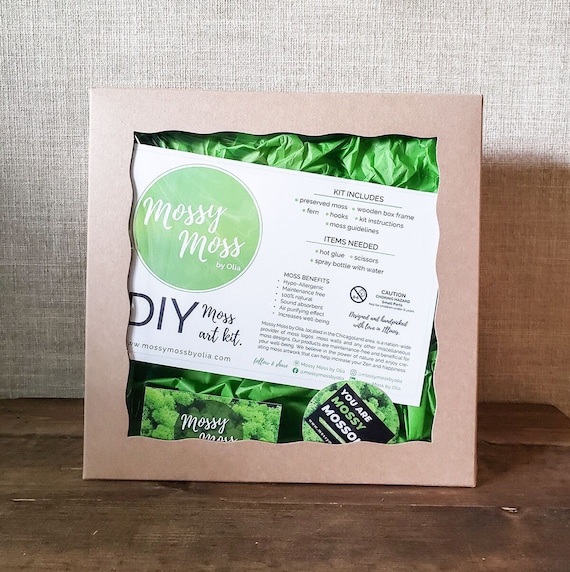 DIY Moss Art Kit, Unique Gift Box, Corporate Gift, Team Building