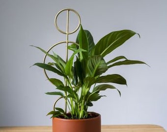 Plant Stick | Plant Trellis | Plant Support Stick | Plant Stake | Houseplant Accessory | Decorative Plant Marker | Plant Accessories