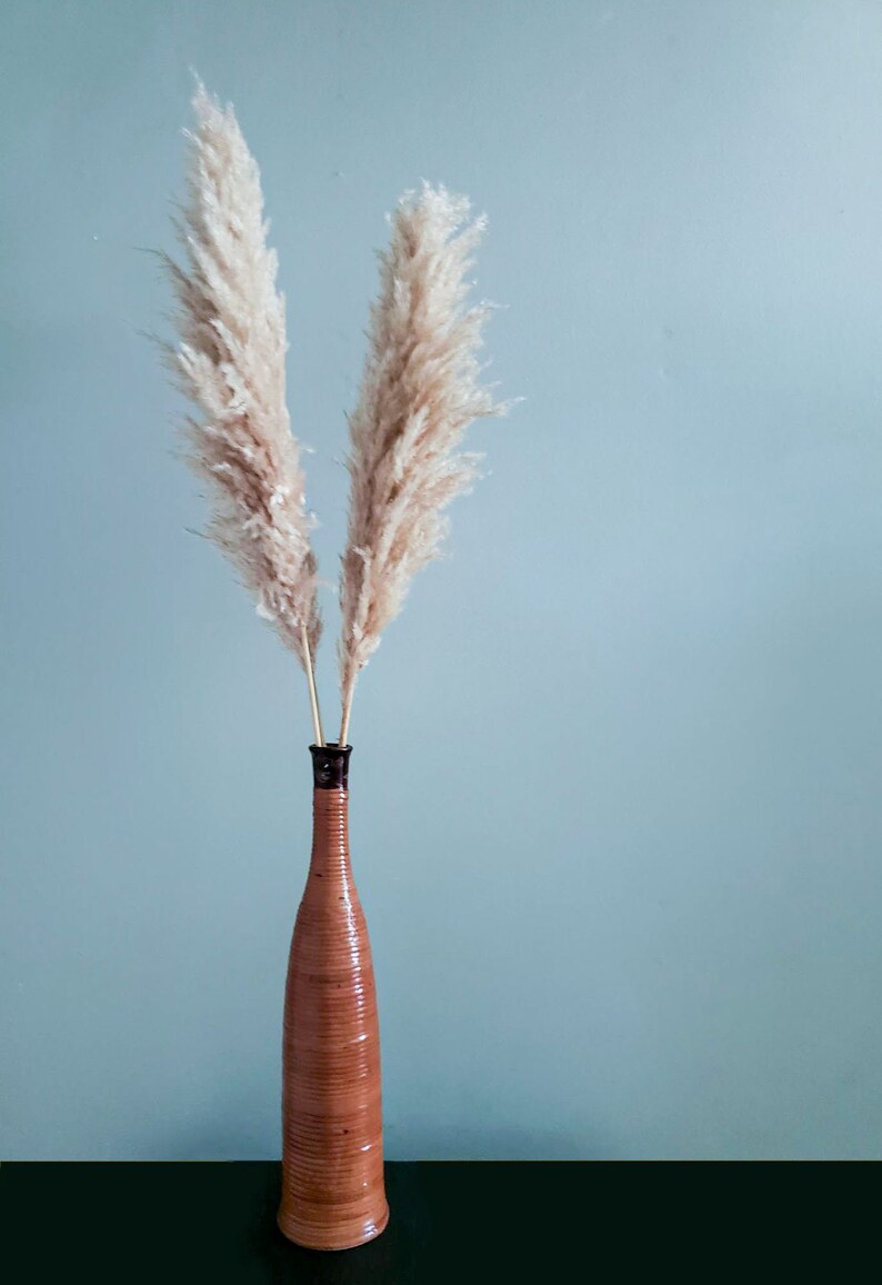 Large Pampas Grass 46 Vase Filler Natural Decor Etsy