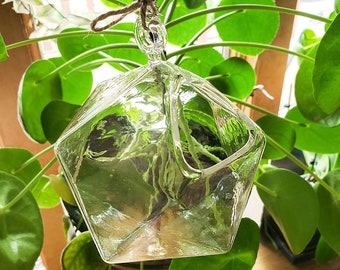 Hanging Geometric Glass Vases | Hanging Bud Vase | Hanging Glass Terrarium | Glass Budvase | Hanging Vase | Propagation Stand | Window Decor