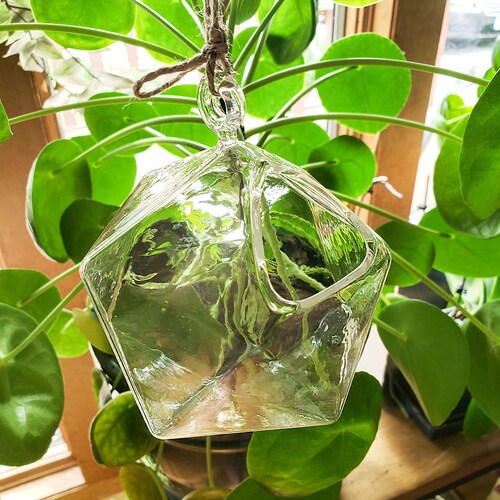 Hanging Bud Vase Etsy