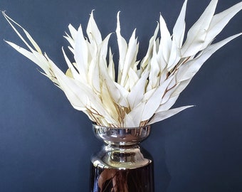 Preserved Eucalyptus Willow |  Dried Flowers | Bleached Feather Eucalyptus | White Dried Flowers | Long lasting Flowers | Dry Florals