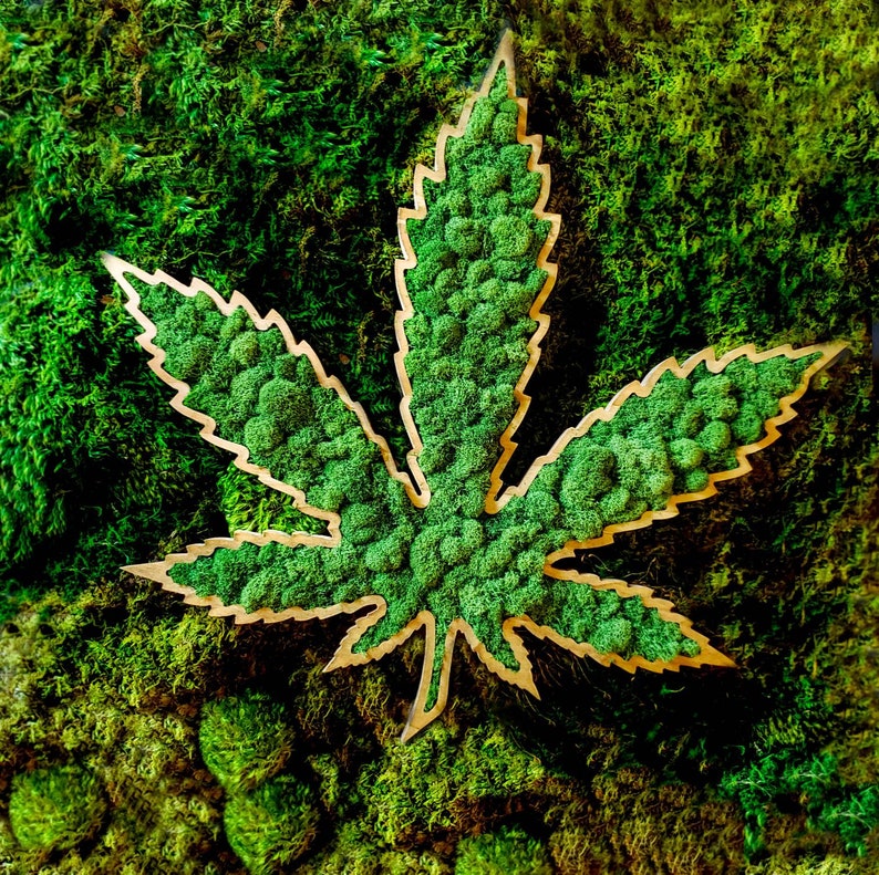 Moss Weed Leaf Dispensary Decor Marijuana dispensary Etsy