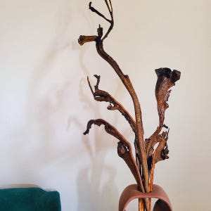 Op de afbeelding: Een decoratieve opstelling van gedroogde, verweerde takken in een terracotta vaas. De takken zijn in verschillende bruintinten en hebben een natuurlijke, organische uitstraling. De vaas heeft een unieke, gebogen vorm.