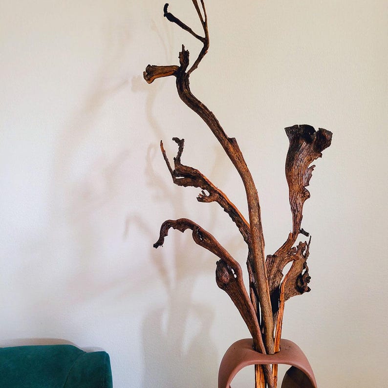 Op de afbeelding: Een decoratieve opstelling van gedroogde, verweerde takken in een terracotta vaas. De takken zijn in verschillende bruintinten en hebben een natuurlijke, organische uitstraling. De vaas heeft een unieke, gebogen vorm.