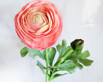 Real Touch Coral Ranunculus Flower 19" | Spring Flowers | Summer Silk | Everlasting | Faux Florals | Artificial Blooms | Gift for Daughter