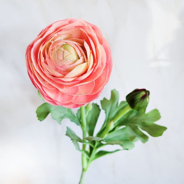 Real Touch Coral Ranunculus Flower 19" | Spring Flowers | Summer Silk | Everlasting | Faux Florals | Artificial Blooms | Gift for Daughter