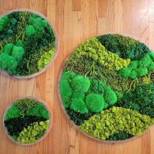 Custom Moss Frames in a Circle Shape Moss Art Moss Decor Preserved Moss Frames Nature Forest No Maintenance Wall Art Moss image 1