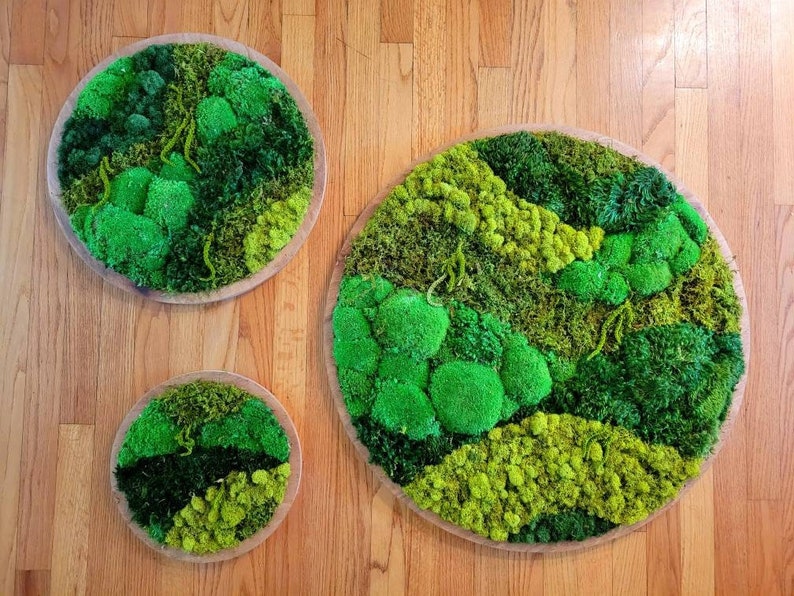 Custom Moss Frames in a Circle Shape Moss Art Moss Decor Preserved Moss Frames Nature Forest No Maintenance Wall Art Moss image 1