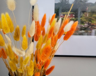 Mixed Color Dried Bunny Tail Grass – Boho Home Decor, 19.5" Fluffy Stems