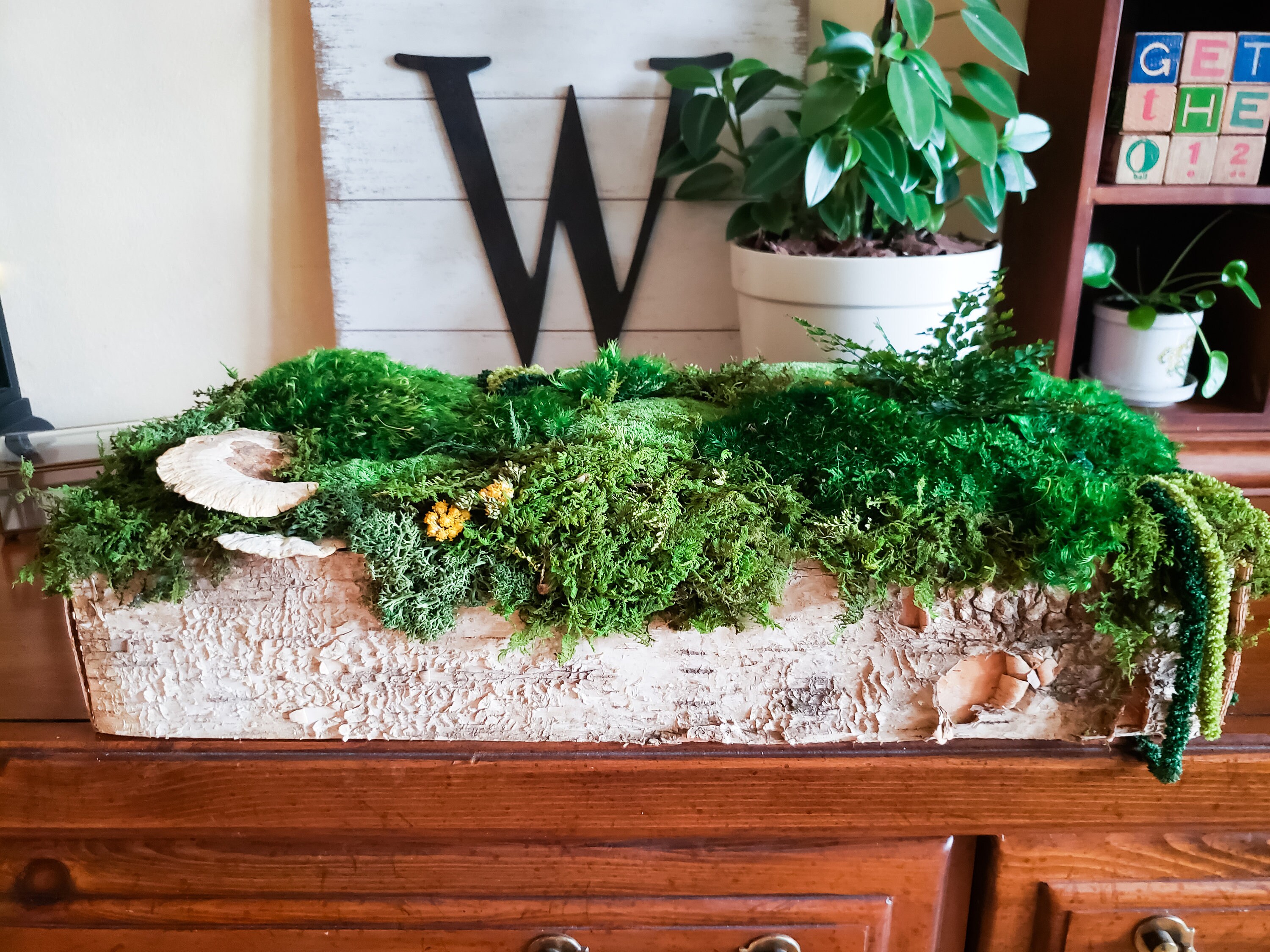 Moss Birch Dining Table Centerpiece Kitchen Island Decor Etsy