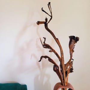 Op de afbeelding: Een decoratief arrangement van gedroogde, bruine takken in een terracotta-kleurige vaas. De takken hebben een natuurlijke, organische vorm, met verschillende texturen en vormen. De vaas heeft een afgeronde basis en een smalle opening.