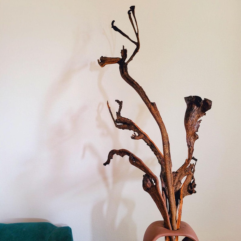 Op de afbeelding: Een decoratief arrangement van gedroogde, bruine takken in een terracotta-kleurige vaas. De takken hebben een natuurlijke, organische vorm, met verschillende texturen en vormen. De vaas heeft een afgeronde basis en een smalle opening.