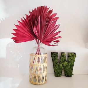 Dried Burgundy Palm Leaves – Merlot Red Sun Palms, Modern Boho Accent Greenery for Wedding & Home Decor