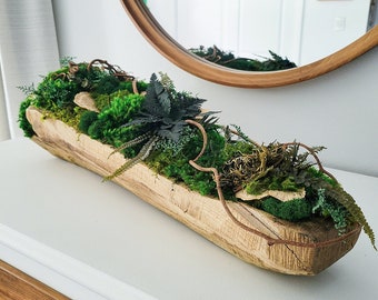 MOSS & WOOD Dining Table Centerpiece | Kitchen Island Decor | Mantle Decoration | Green Accent | TV Console Decor | Moss Wall | Preserved