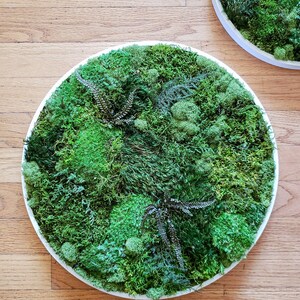 Custom Moss Frames in a Circle Shape Moss Art Moss Decor Preserved Moss Frames Nature Forest No Maintenance Wall Art Moss image 7