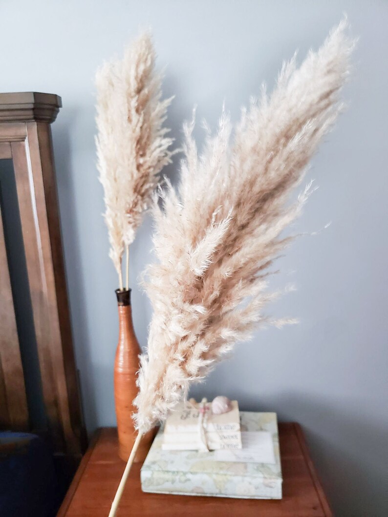 Large Pampas Grass 46 Vase Filler Natural Decor Etsy