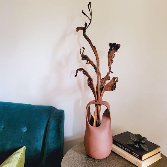 Dried Natraj Branches - Varnished Twisting Natural Wood for Eco-Friendly Decor and Vase Fillers
