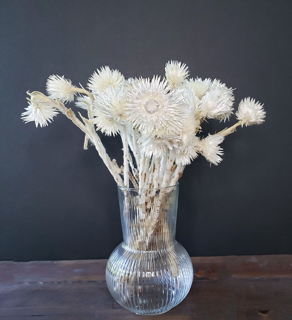 Dried White Everlasting Straw Flowers Natural White Daisies Dry Florals  Winter Snow White Helichrysums White Flower Arrangement 