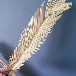 Dried Palm leaves | Dried Palms | Dried Palm Stems | Preserved Palm Leaves | Sun Palm Leaves | BOHO Palm | Boho wedding Decor | Palm Fronds