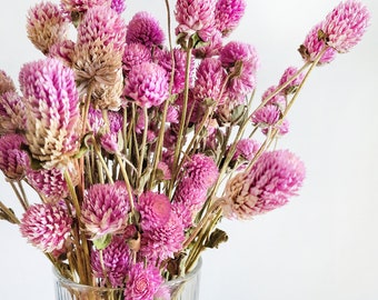 Dried Pink Amaranth | Dried Flower Bouquets | Vase Filler | Pink White Dried Flowers | Flower Decor | Floral Bunch | Flower Arrangement |