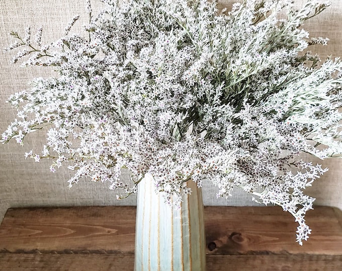 Dried German Statice White Dried Flowers White Flowers White Statice