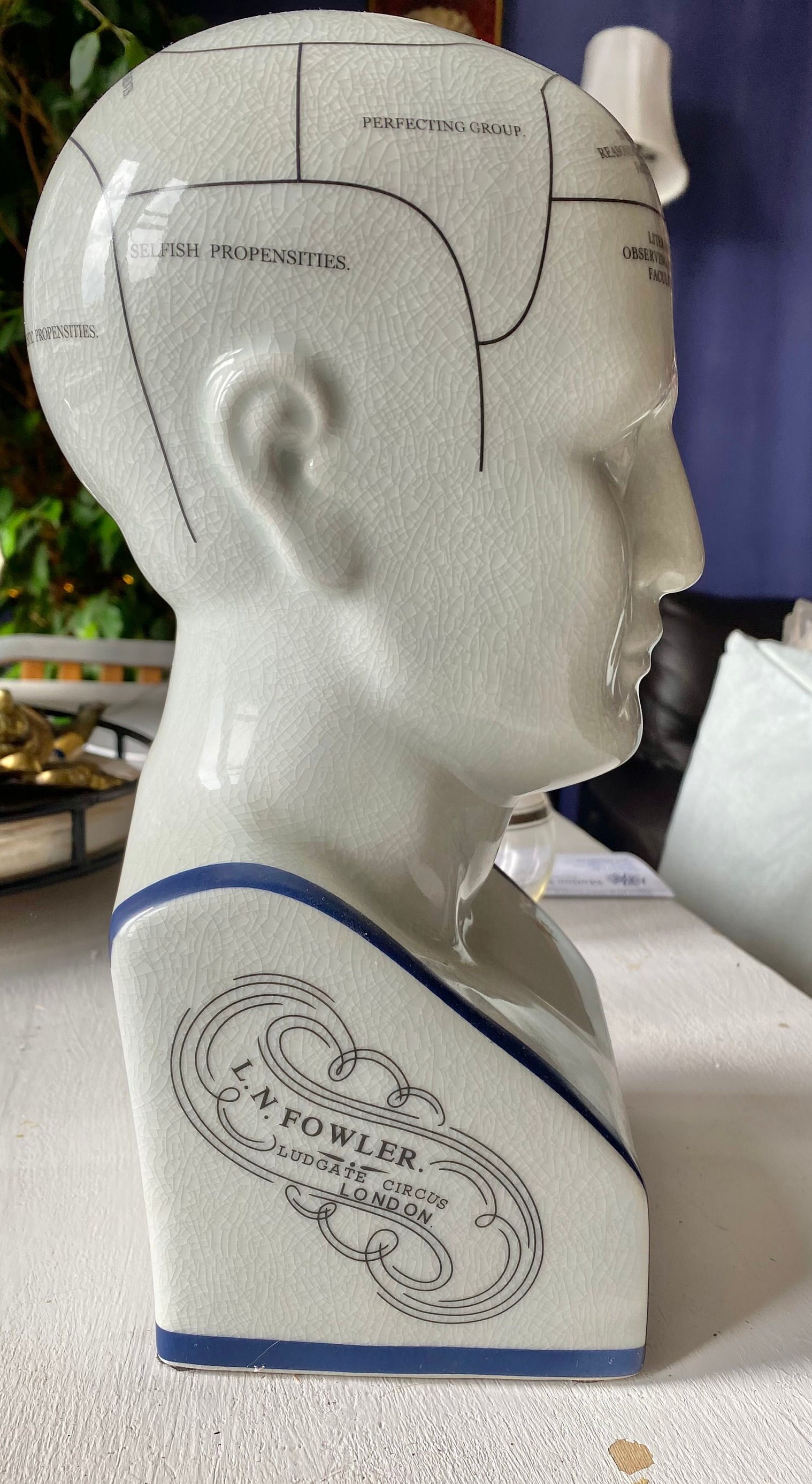 L.N. Fowler / Phrenology / Brothers Fowler / Study of the