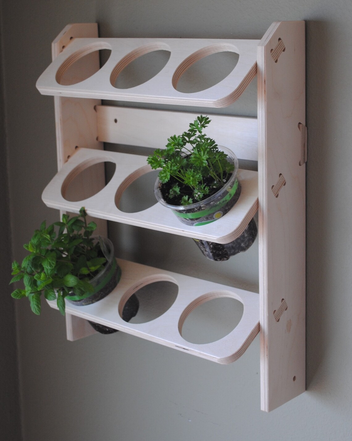 Mason Canning Jar Rack Pint Jar Holder Wall or Table Top Etsy